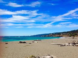 Top 20 Gualala, CA beach vacation rentals | Vrbo