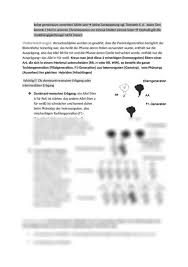 Der genetische fingerabdruck oder das genetic fingerprintig ist eine methode, die ein individuelles profil erzeugt, welches auf dem erbgut des jeweiligen person basiert. Vererbungslehre Und Klassische Genetik Verschiedene Erbgange Karyogramm Mutationen Geschlechtsdifferenzierung Beim Menschen Abiturvorbereitung Maturavorbereitung