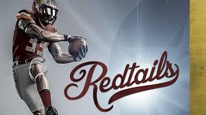 They look good but this isn't the most creative name. What Washington S New Nfl Logo Should Look Like According To Graphic Designers Npr