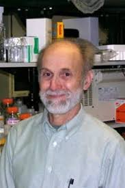 The SSEP Step 2 Review Board for STS-134