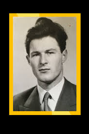 Manufacturing and Characterization of Cellulose Nanofibers