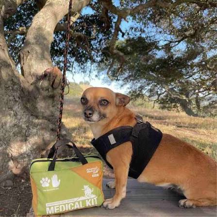 Adventure Medical Kits ADS Trail Dog First Aid Kit