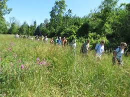 Genesee Valley Hiking Group Gvhg Rochester Ny Hiking Club Hiking Cross Country Skiing