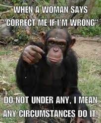 Jan 06, 2019 · gary hart's monkey business. 110 Monkeying Around Ideas Bones Funny Monkey Funny Animals