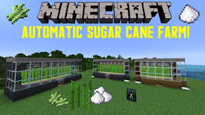 Hello everyone jwhisp here and welcome to another video. Minecraft 1 15 Automatic Sugar Cane Farm Tutorial Easy Youtube