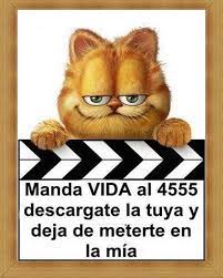 Buenas Noches Frases De Amistad Imagenes De Buenas Noches Graciosas Buenas Noches Amigos