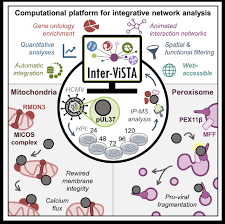 A human protein index can be abbreviated as hpi. New Inter Vistas Of Protein Interactions Princeton Insights