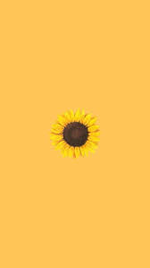 Fantastic beasts and where to find them wallpapers | tumblr. Cute Cartoon Characters Funny Aesthetic Profile Pictures Flower Aesthetic Yellow Wallpaper Yellow Background