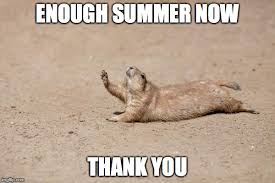 We did not find results for: 42 Hot Weather Memes That Ll Help You Cool Down Sayingimages Com