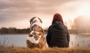 Just this side of rainbow bridge there is a land of meadows, hills, and valleys with lush, green grass. 8 Ways To Grieve A Pet Elephant Journal