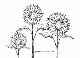 Karena pada gambar bunga ada banyak sudut sempit yang tida bisa sembarangan dalam mewarnainya. Mewarnai Gambar Bunga Matahari Contoh Gambar Mewarnai