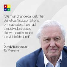 Legacy of stories from david attenborough & a life on our planet team. Plant Based News Veteran Presenter Sir David Attenborough Has Urged The Public To Ditch Meat And Work Towards A Plant Based Diet In His New Documentary A Life On Our Planet