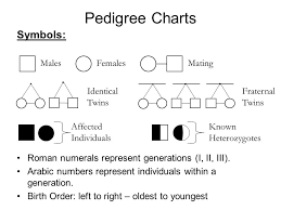 Pedigree Charts Definitions Pedigree The Recorded Ancestry