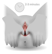 Reducing Your Risk Of Perineal Tears