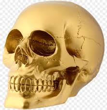 Bronze human skull resin craft home decor imitation skull. Old Skull Gold Skull Home Decor Png Image With Transparent Background Toppng