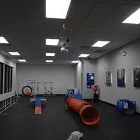 With years of experience and expert staff, we at k9 university will assist you through every phase of training your new dog, while also ensuring your bond gets stronger. Zoom Room Chicago Pet Service In Lakeview