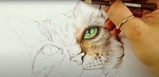Disable your adblock and script blockers to view this page. How To Draw A Cat Step By Step Method Draw Realistic Cat