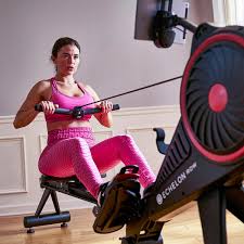 I saw the echelon workers inside costco giving demonstrations. Echelon Row Rower With 1 Year Subscription
