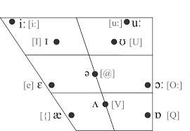 The ipa symbols associated with many of the vowel speech sounds are already familiar symbols for native speakers of english (e.g., /i/, /e/, /o/, /u/), but they . English Phonetics Vocaloid Wiki Fandom