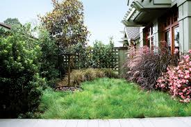 Plant A No Mow Lawn Sunset Magazine But, in the spirit of right plant, right place and personal preference, the question is: sunset magazine