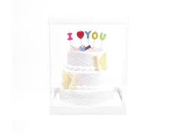 10 Cake Cases With 10 Trays 2 Or 3 Tier Cake Carrier Clear Cake Boxes 21 Cm X 21 Cm Tall 30 Cm About 11 81 Cake Carrier Tiered Cakes Box Cake