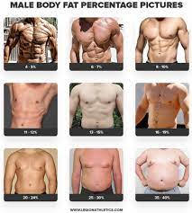 The problem with workouts on google. How To Gain Weight As A Skinny Person Or Ectomorph Part 1 The Gym Starter Start And Succeed In Your Fitness Journey