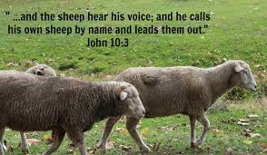 Jesus the Good Shepherd John 10 – Grace Baptist