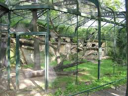 Bird Aviary For Sale Gauteng Full 1600 1200 Bird Aviary Outdoor Pet Enclosure Zoo Architecture
