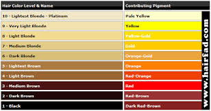 72 Qualified Bleaching Hair Color Level Chart