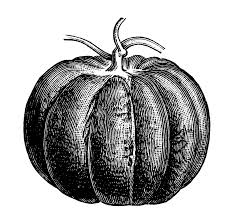 Free Vintage Clip Art Images Free Vintage Pumpkin Clip Art Clip Art Vintage Pumpkin Illustration Pumpkin Images
