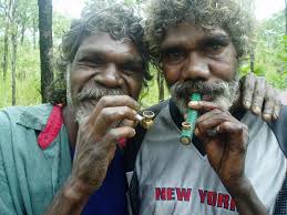 Dr Bill Day Anthropologist