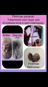 img_9406.jpg – Dr. Paulo Branco