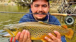 Tess Mcmichael's Instagram, Twitter & Facebook