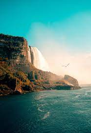 Nature wallpapers hd full hd, hdtv, fhd, 1080p 1920x1080 sort wallpapers by: Nature Portrait 100 Best Free Outdoor Wallpaper Grey And Forest Photos On Unsplash