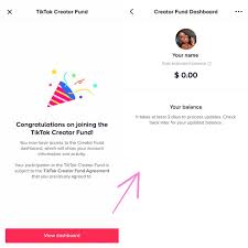 How Much Does Tiktok Pay You Audiencegain Ltd