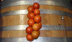 Tomate De Ramallet Lycopersicon Esculentum Mallorca La Revista De Mallorca