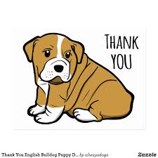 Thank You English Bulldog Puppy Dog Cartoon Postcard Zazzle Com Bulldog Puppies Cartoon Dog English Bulldog Their smile is full of joy and absolutely sincere. thank you english bulldog puppy dog