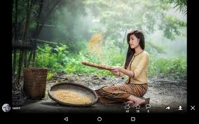 All contents are released under the pixabay license, which makes them safe to use without asking for. Pixabay Fur Android Apk Herunterladen