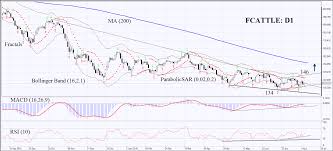 C Fcattle Commodities Cattle Technical Analysis July 19