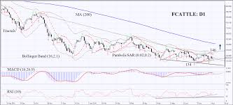 C Fcattle Commodities Cattle Technical Analysis July 19
