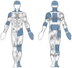 Injuries Bodymotion Spine Sports Injuries Clinic