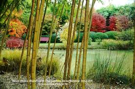 Les Jardins De La Poterie Hillen Comite Des Parcs Et Jardins De France