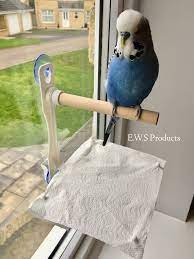 Window Bird Perch Sticks To Most Surfaces And Has Droppings Etsy In 2021 Homemade Bird Toys Diy Bird Toys Bird Toys