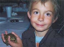 Contributions to the tribute of Carston Cole