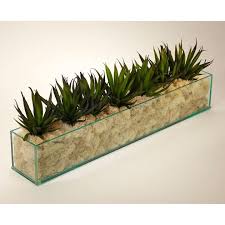 Agave In Rectangular Glass Container With Cream Moss Rectangular Vase Glass Containers Container Flowers