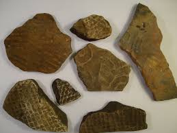 The harrell site artifacts what were the tools and weapons of cheyenne. More Finds From 1300 1500 Florida Timucuan Indian Mounds In North East Florida Collectors Weekly