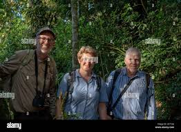 Image result for Carapa wohllebenii