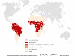 Image result for Yellow Fever