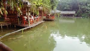 The langat river is 78 km long with a catchment of 2350 km² and originates from the titiwangsa range at gunung nuang. Veg Fish Farm Thai Restaurant Hulu Langat Ampang A Delightful Experience Yum Thefoodbunny