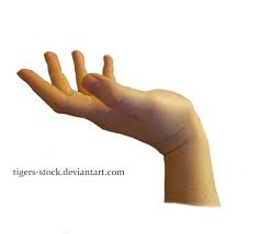 By Downloading My Stock You Agree To Abide By My Rules Of Use Here Nbsp Tigers Stock Deviantart Com Png Deviantart Hands